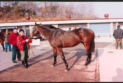 ����£�������ڸ� ����