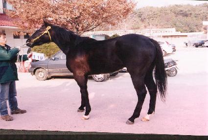 �ϻ��� ����