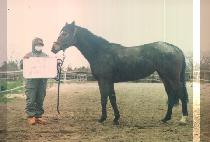 ��õ���� (GWACHEON JINJU) ����