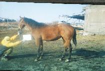 �ͷ浿 (YARYONGDONG) ����