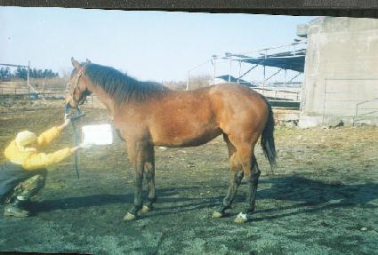 �ͷ浿 ����