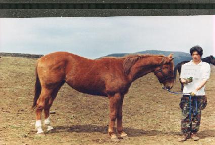 ¯�� ����