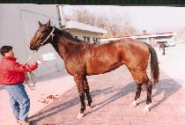 �躸 (KWAEBO) ����