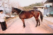 �⼼���� (GISE OREUM) ����