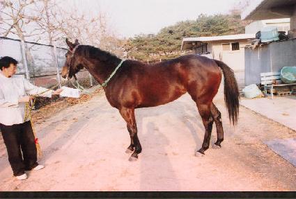 �⼼���� ����