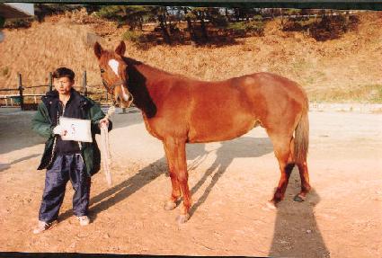 �����޻� ����