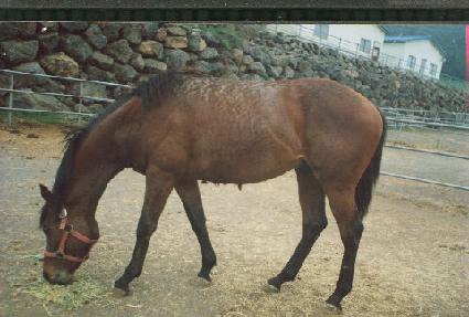 ��� ����