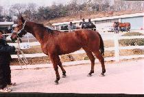 ȫ���� (HONG YEON AM) ����