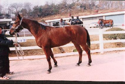 ȫ���� ����