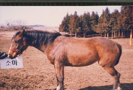 û�� ����