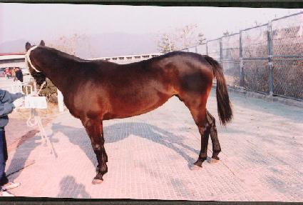 ���� ����