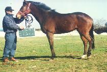 ���ڻ� (NOJASAN) ����