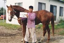 ŷ������ (KINGS LAND) ����