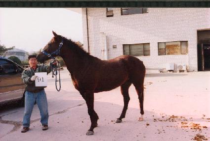 ��������Ʈ ����