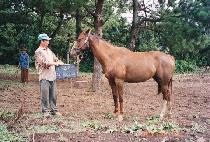 ��� (SANGBONG) ����