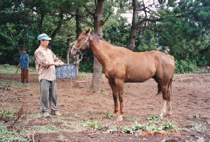 ��� ����