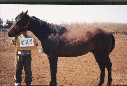 �������� ����