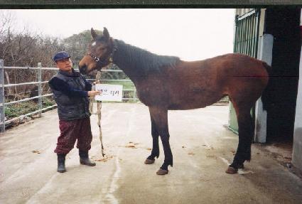 �ŷ� ����