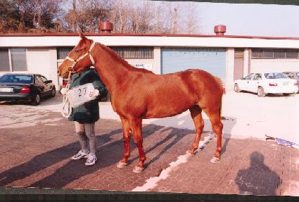 ���½� ����