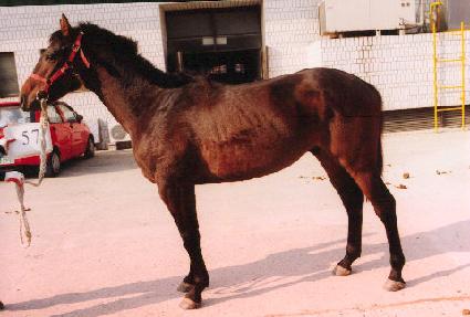 ���� ����