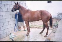 ���� (SENSE) ����