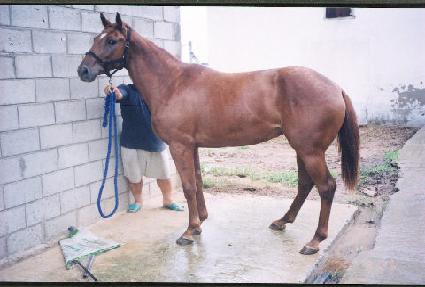 ���� ����