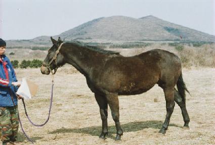 Ž���� ����