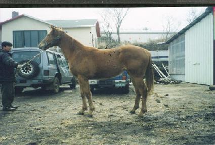 ���׵��� ����