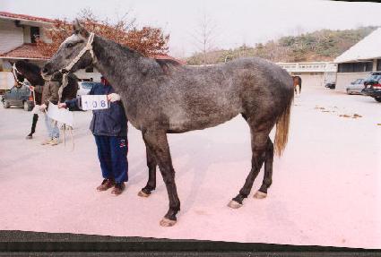 ���� ����