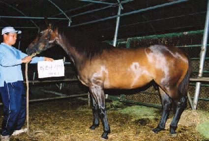 õ������ ����