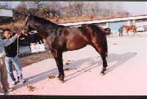 ��ä (GWANGCHAE) ����