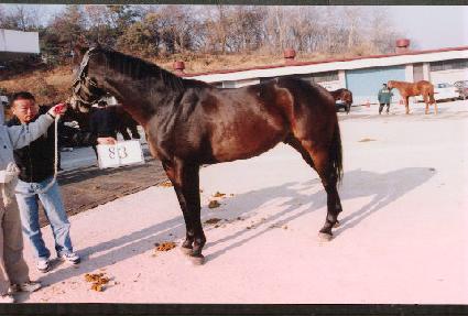 ��ä ����