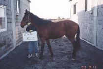 �׷�ĸƾ (GROUP CAPTAIN) ����