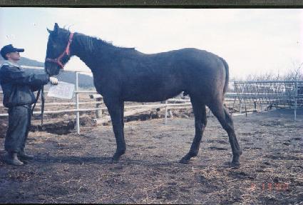 ���� ����