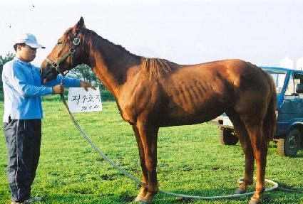 õ����� ����