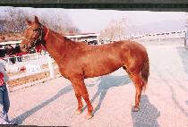 �н��� (APSEUNGJA) ����