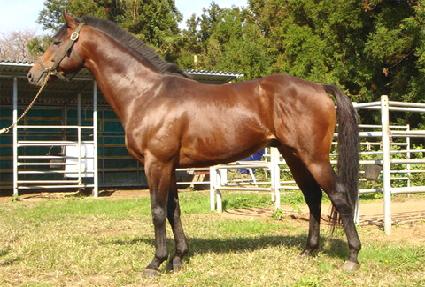 �赵���� ����