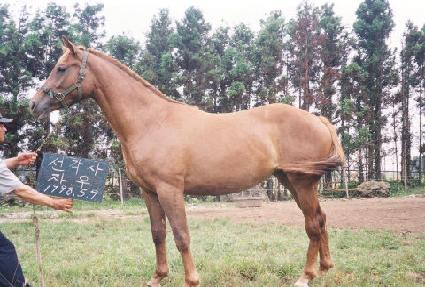 ����ûû ����