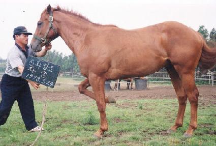 ��ȭâ�� ����