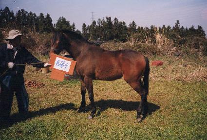 �����⿬ ����