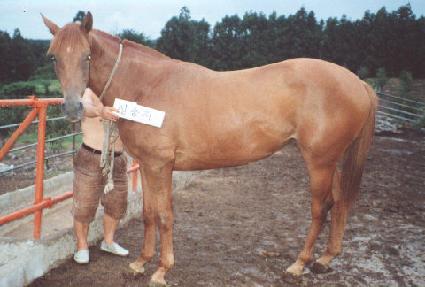 ��õ�� ����