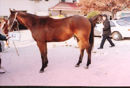 ����õ ����