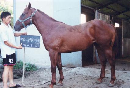 �ν�Ʈ���̺� ����