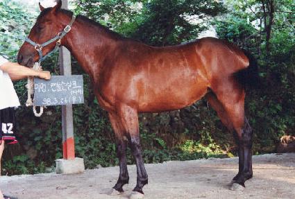 �Ҵ� ����