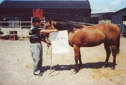 �������� ����