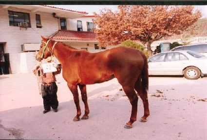 �������� ����