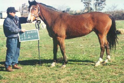 ��Ϻ���Ű ����