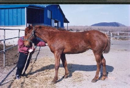 ��ǻ� ����