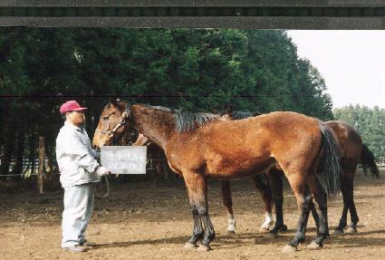 �÷�Ű ����