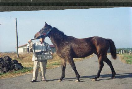 ī���� ����